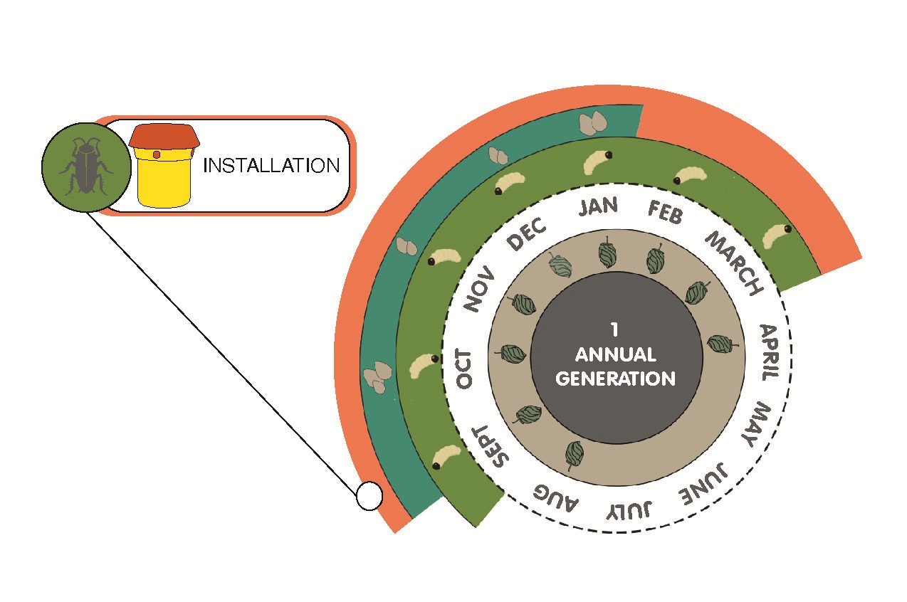 infografía época de empleo trampas